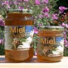 Miel d'acacia 500g