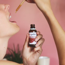 Teinture mère sans alcool